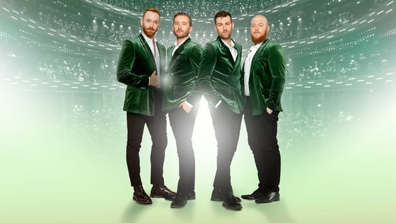 The Celtic Harps Warner Hotels